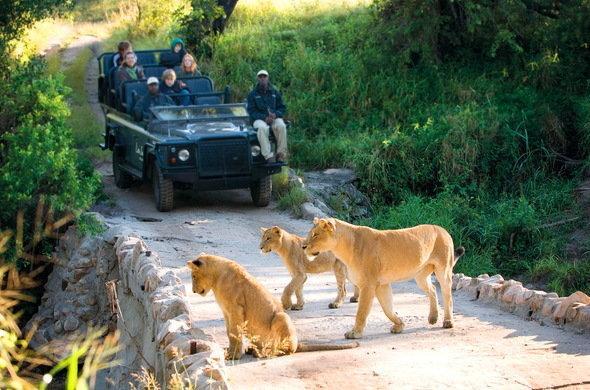 Kruger Park Lodge 401 هازيفيو المظهر الخارجي الصورة